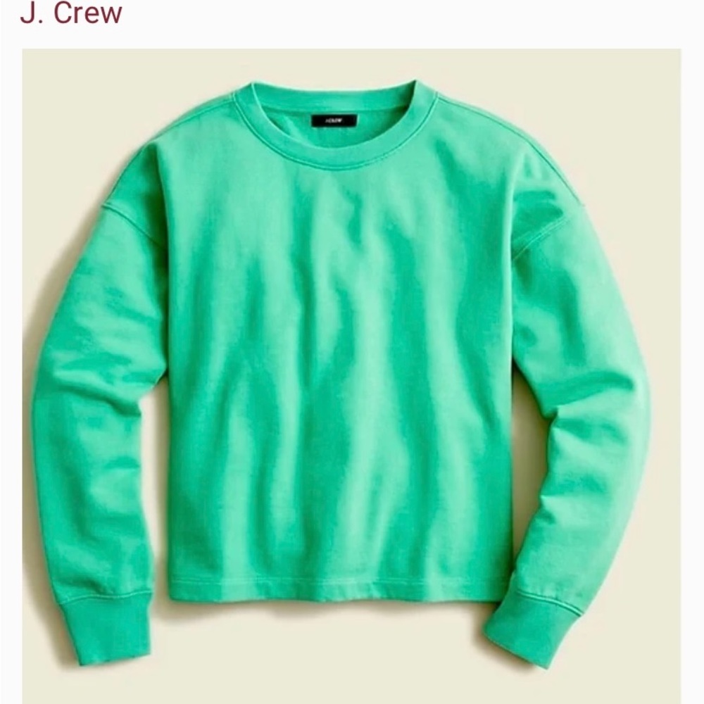 J.Crew University Terry Cropped Crewneck Sweatshirt